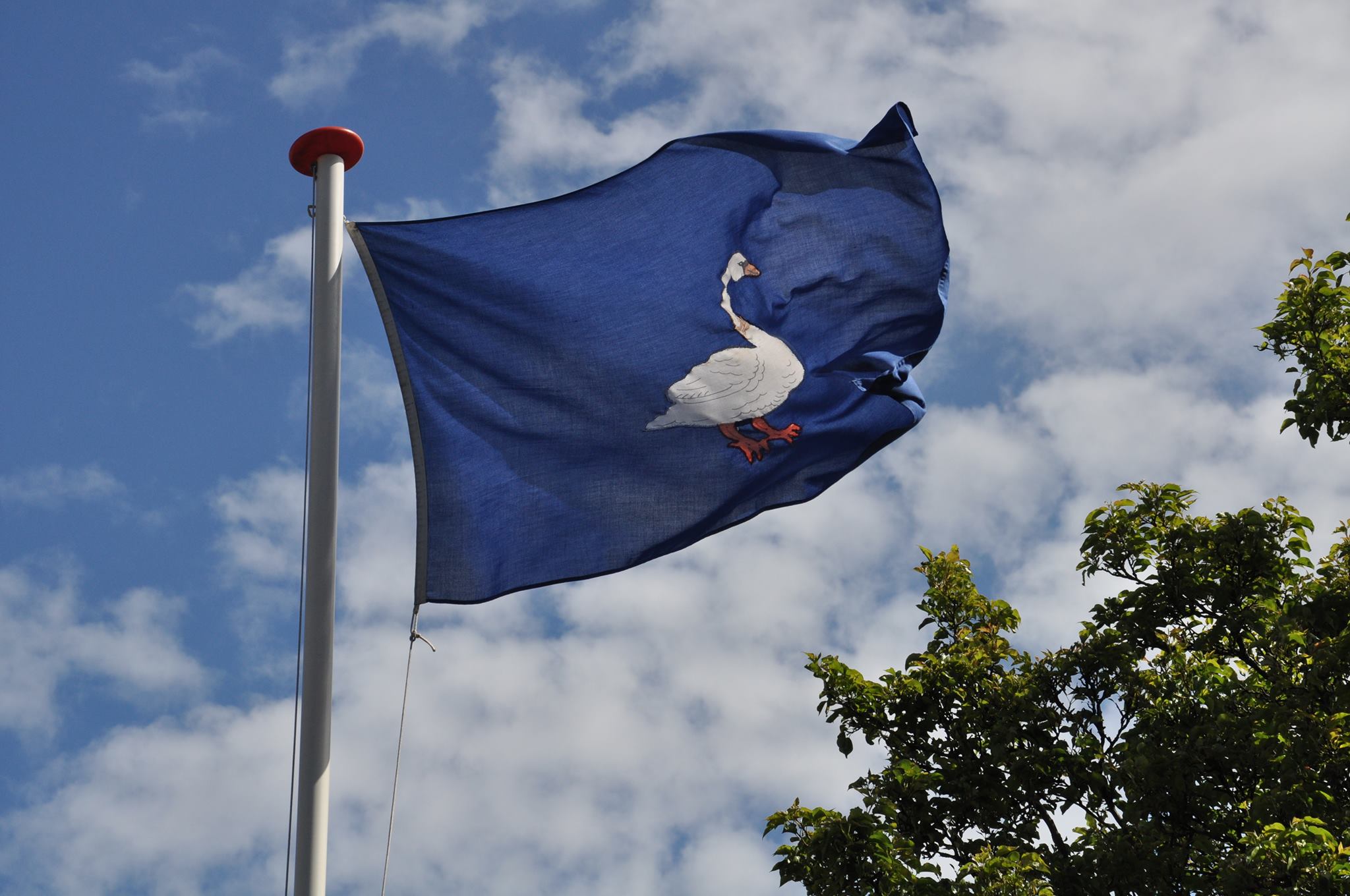 hofvanwouw vlag org hofvanwouw vlag org